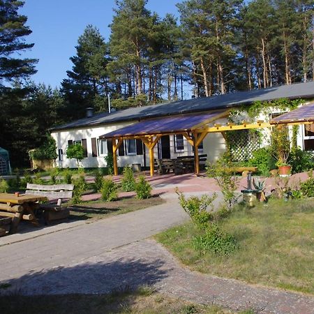 Hostel Waldhaus Am Ferienpark Mirow -Zimmer Du Wc Eksteriør billede